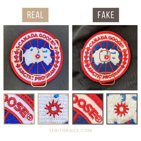 fake canada goose health problems